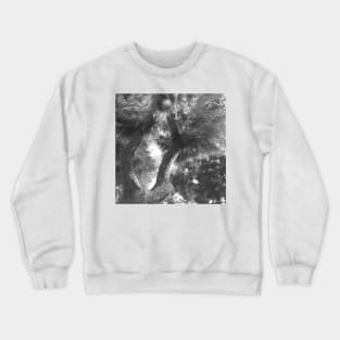 Evergreen Tree Foliage Detail Crewneck Sweatshirt